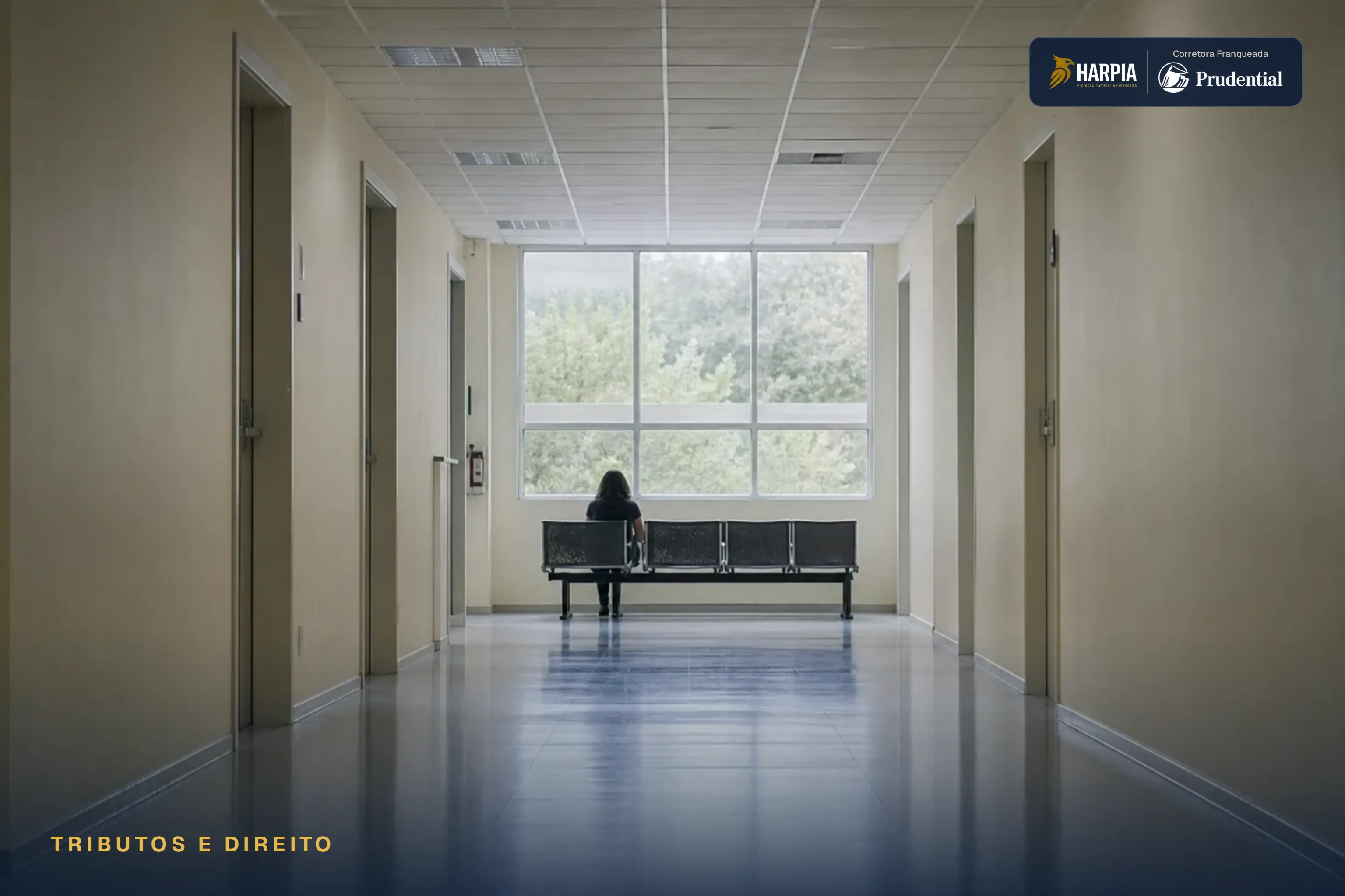 Imagem ilustrativa: Auditorias de seguros podem ganhar arquivo digital.